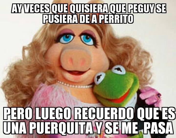 Memes Groseros Rana Rene
