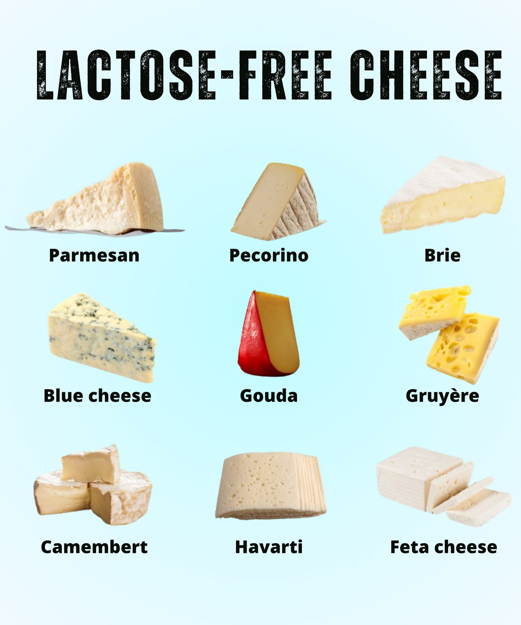 is blue cheese dressing lactose free What are some dairy-free recommendations? eoy-bestsellers Short Dress Thigh High Size:One Size (Length 63 cm)