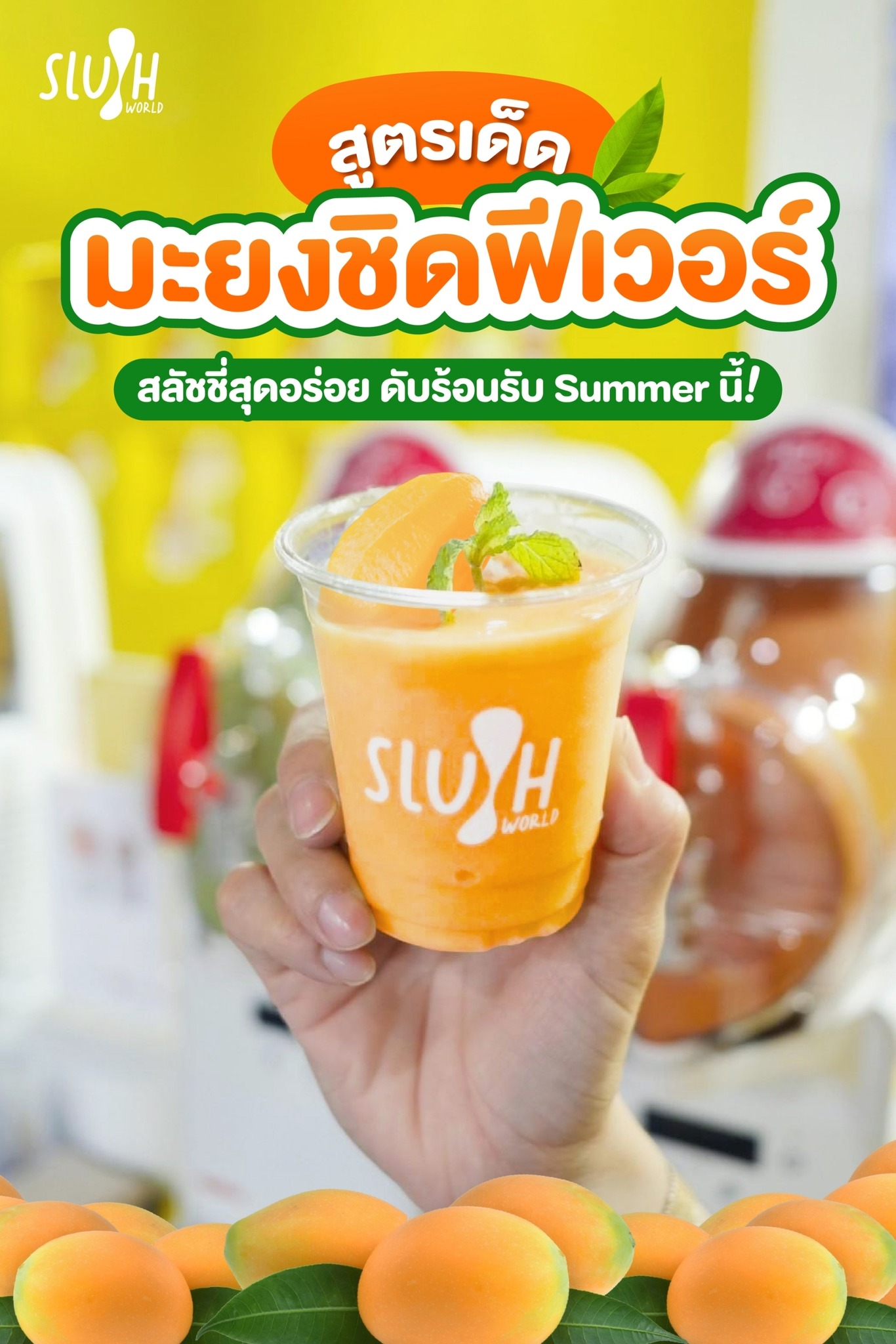Slush World - แจกสูตรเด็ด 'มะยงชิดฟีเวอร์' 🥭 ... | Facebook
