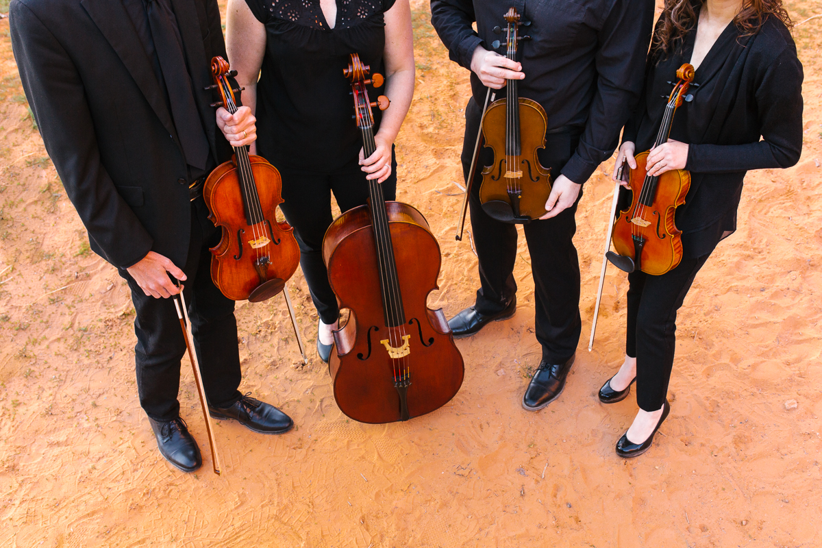 Sky Island String Quartet