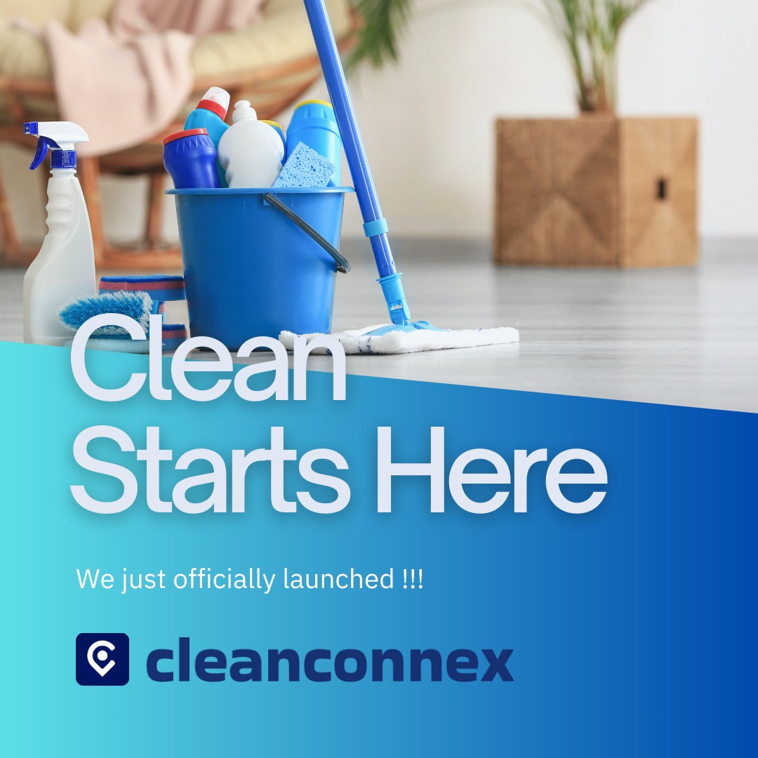 Illustration of Connex Sidewalk Cleaning