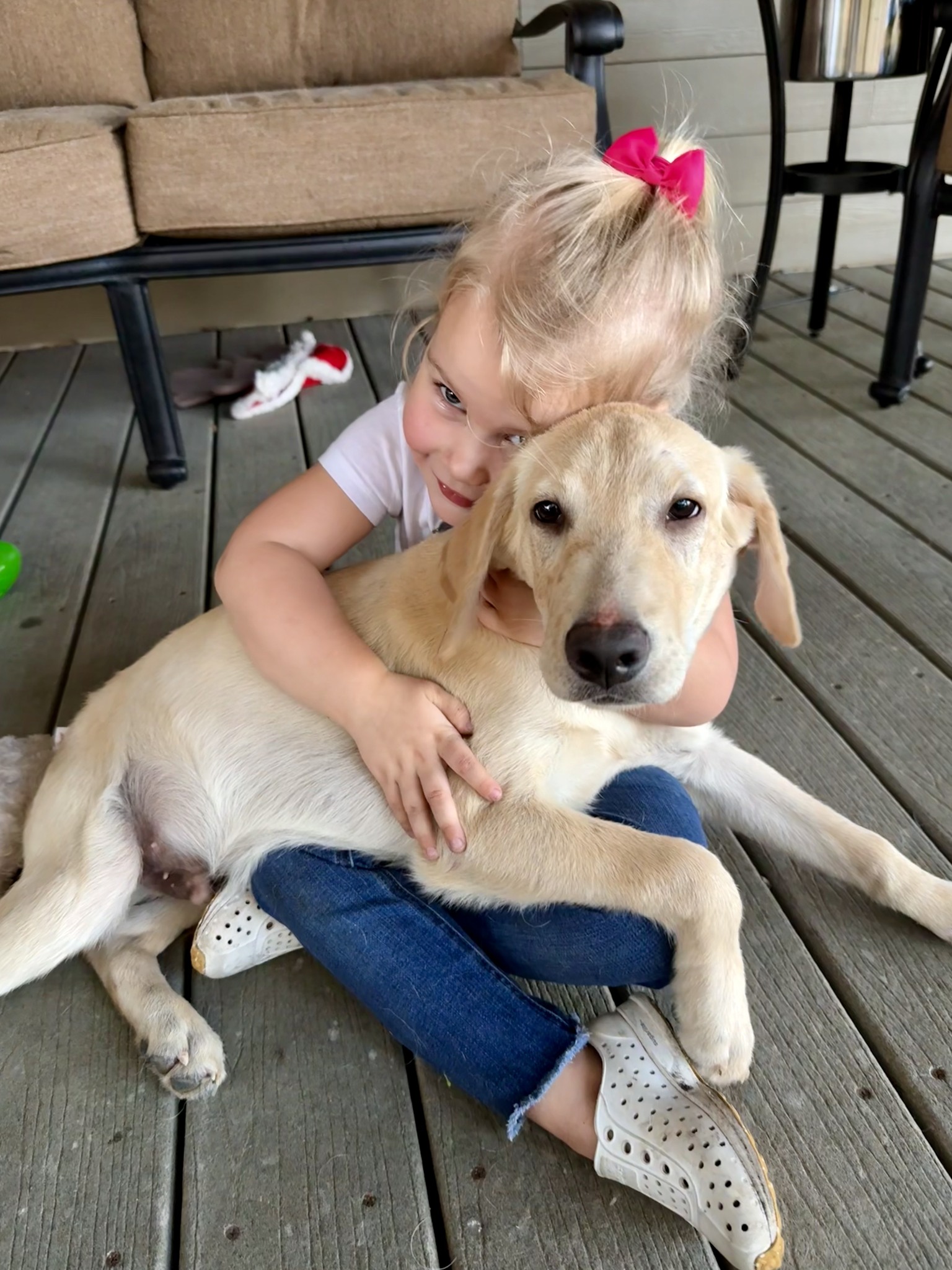 🎉🐾 Puppy Adoption Alert!... - Sunshine State Labrador Rescue | Facebook