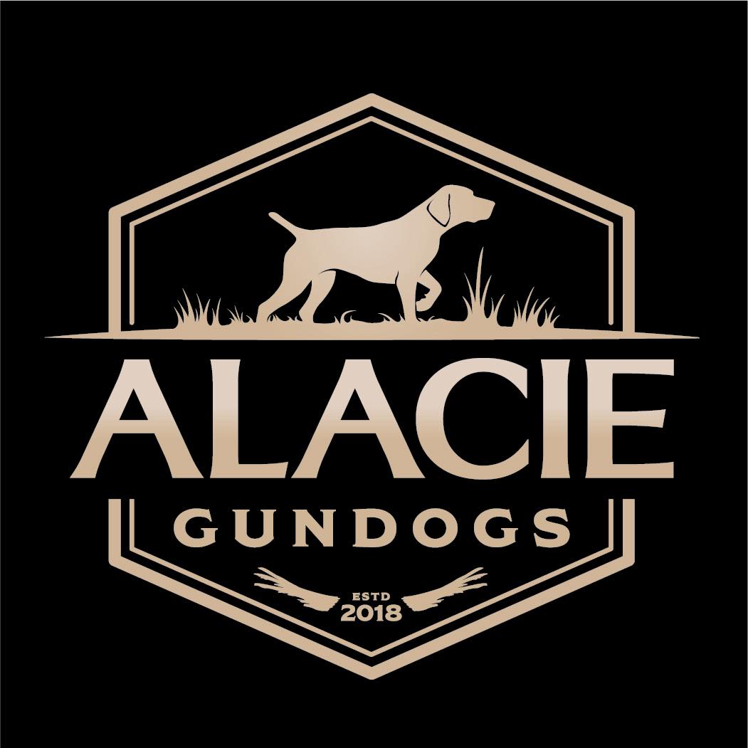 Zoey!!!#birddog #gsp ━━━━━━━━━━━━━━━━━━ ALACIE GUNDOGS | ORD, NEBRASKA ...