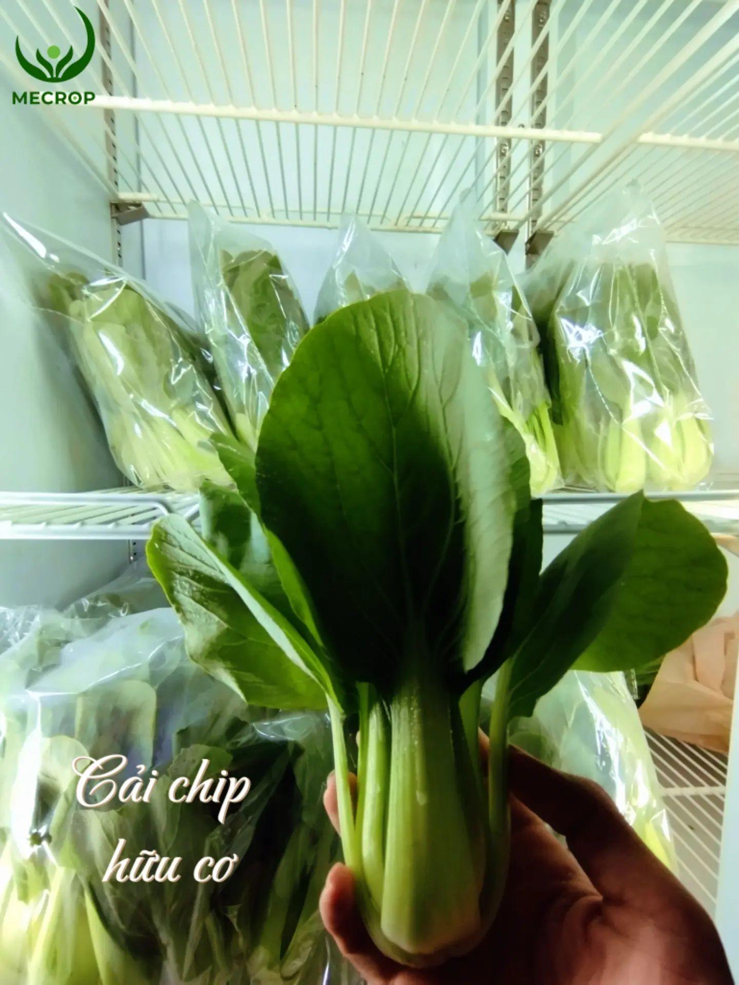 Mecrop - 🌿RAU RÒM - SẠCH - BỔ DƯỠNG - CÂN BẰNG - NGON... | Facebook