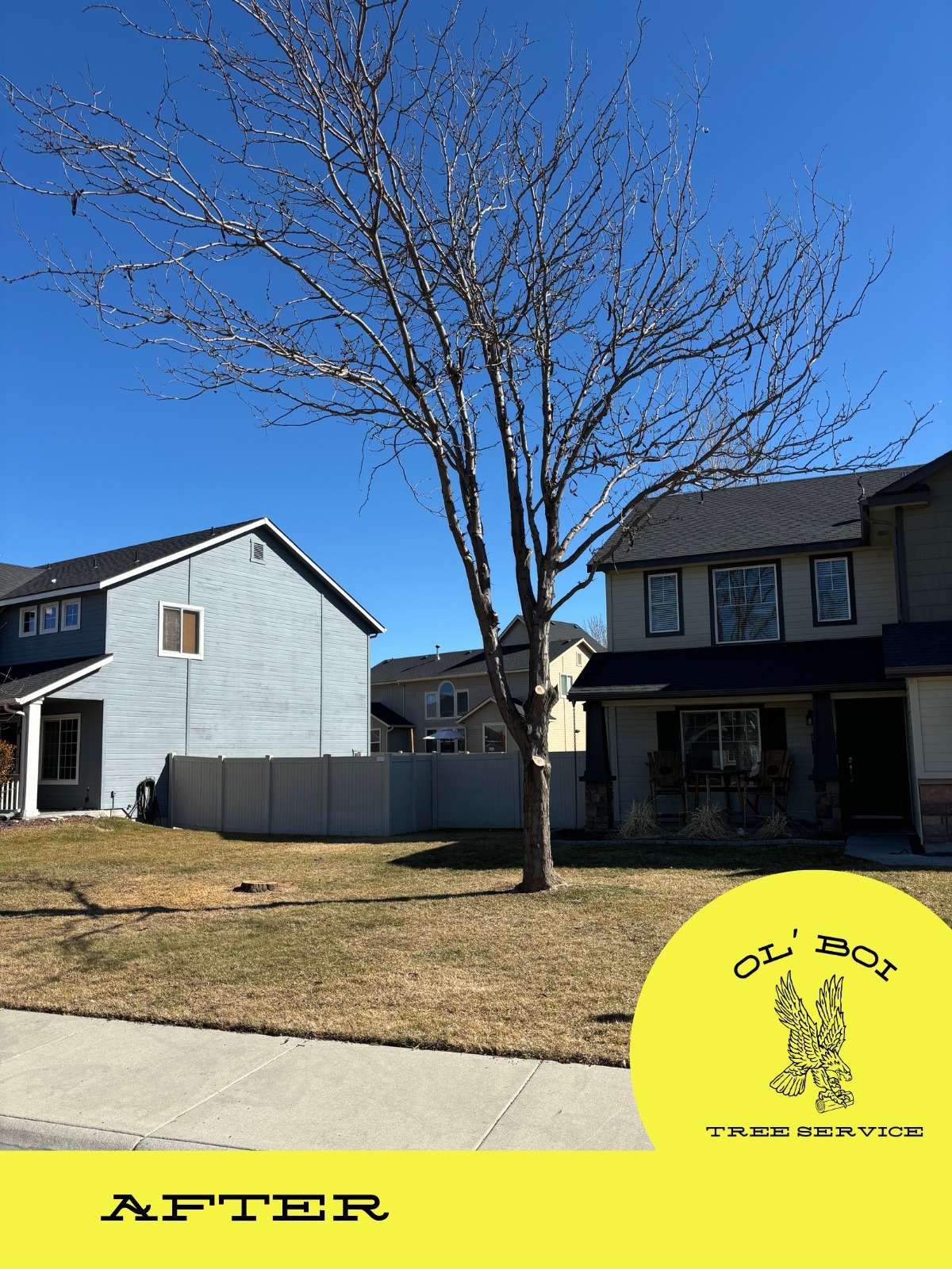 OL' BOI Tree Service | Boise ID