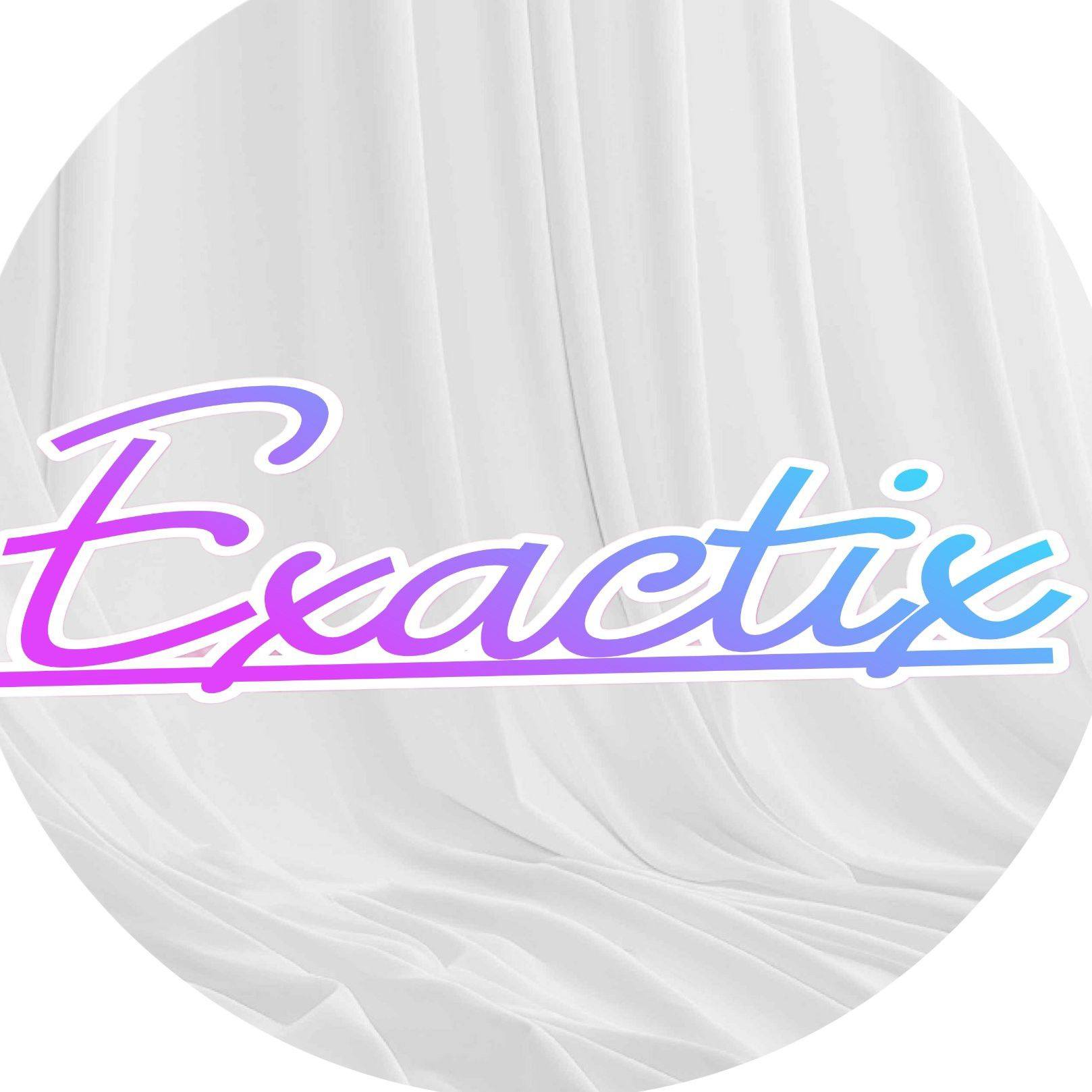 Exactix Models