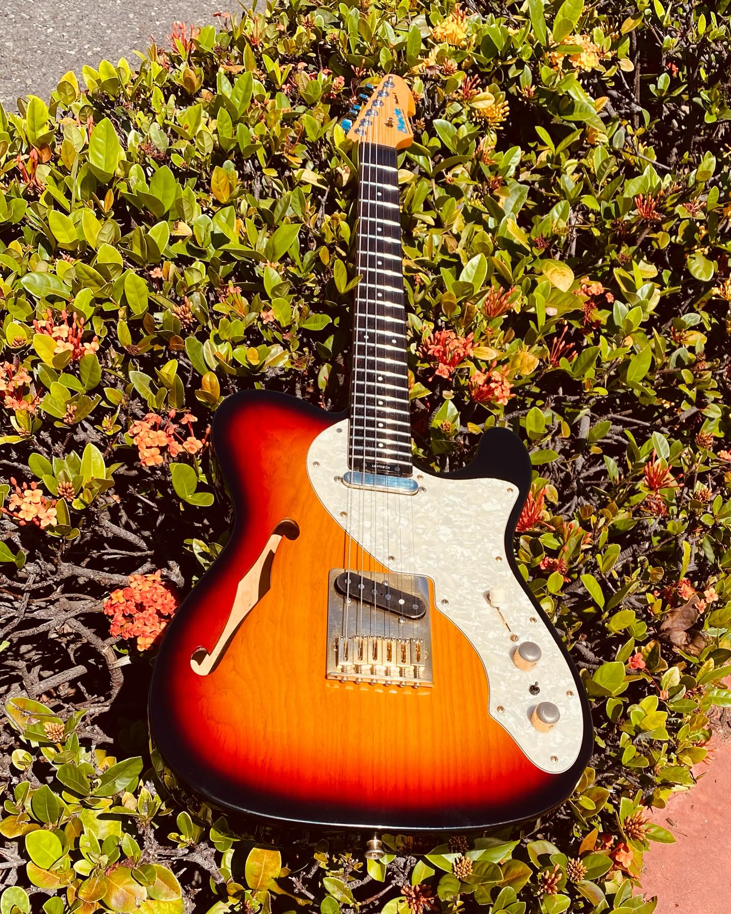 Anyone have a Levinson Blade Tele? What do you think of it? 🤔