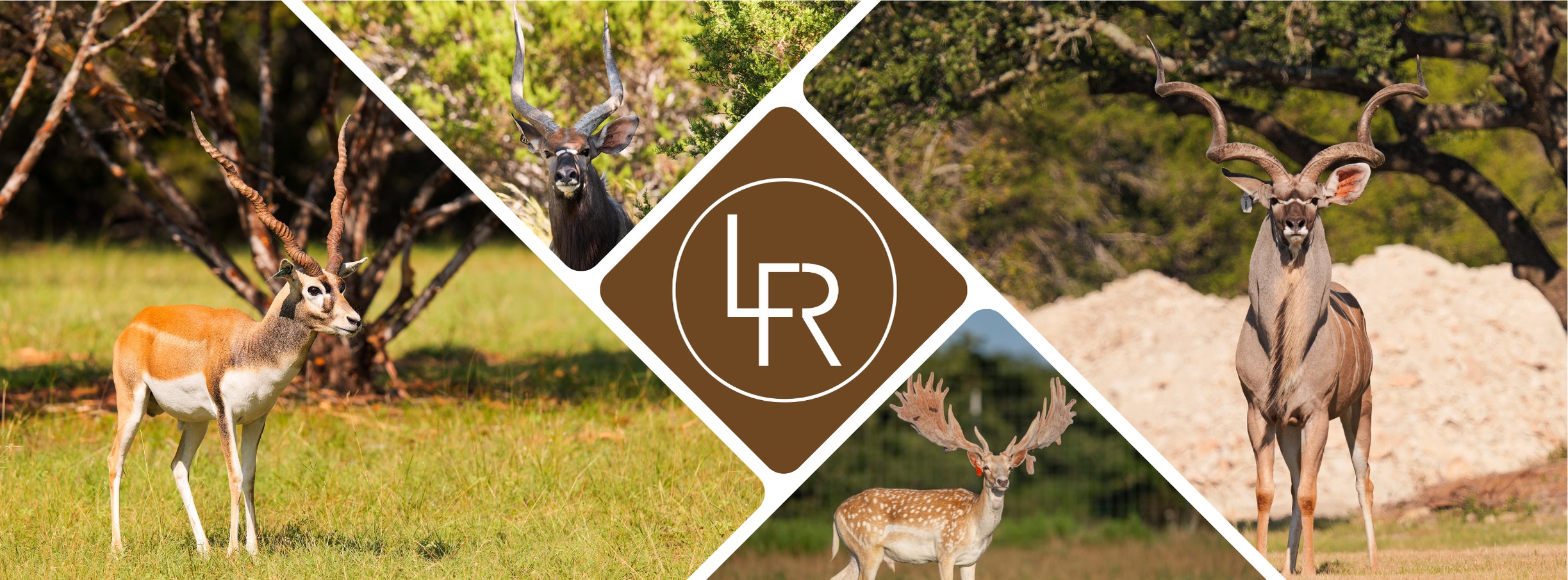 Leary Family Ranch | Liberty Hill TX