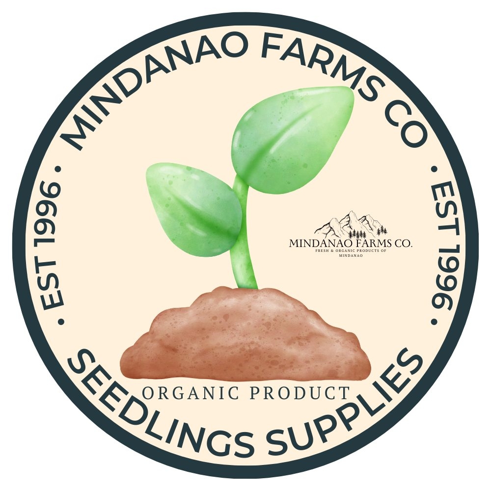 𝗛𝗮𝗿𝘃𝗲𝘀𝘁 𝘁𝗵𝗲 𝗖𝗼𝗹𝗼𝗿𝘀 𝗼𝗳 𝗡𝗮𝘁𝘂𝗿𝗲!... - Mindanao Seedlings Supply | Facebook