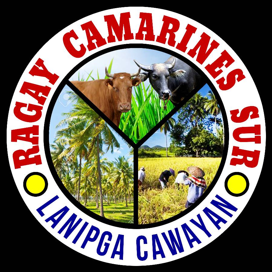 Brgy. Lanipga-Cawayan Ragay Cam. Sur