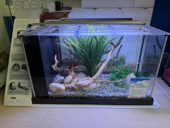 fish tank accessories crossword clue FUNOJOY Broken Barrel Decor Fish holders at home -