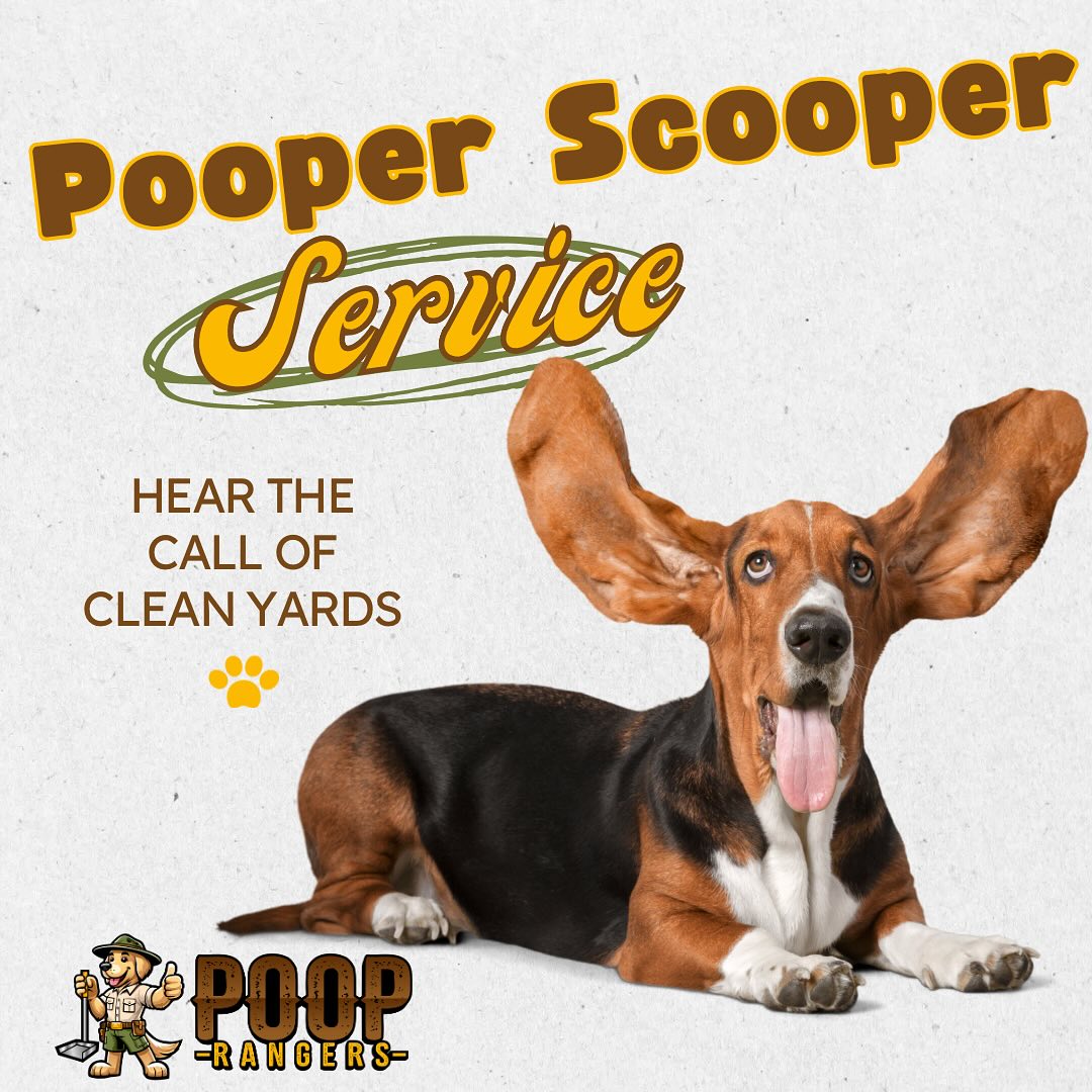 Poop - 🐾With ears this big, I can hear it loud and clear…’Clean my yard ...
