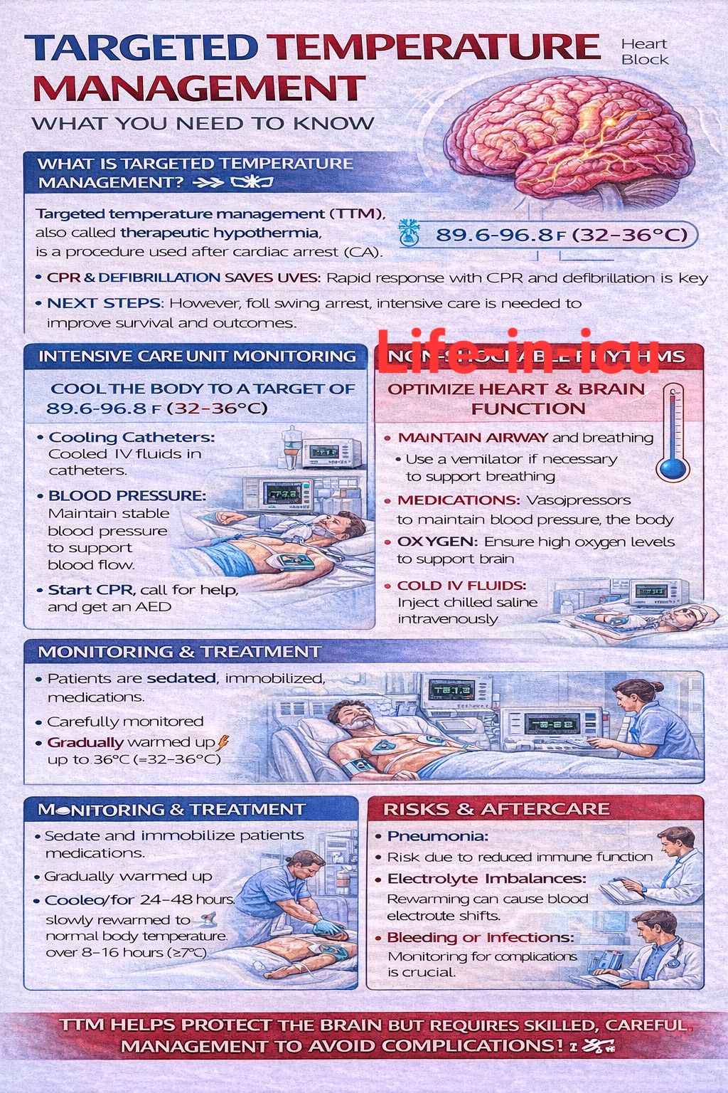 Caduceus EM & Critical Care FOAM | # ️Shivering Management During ...