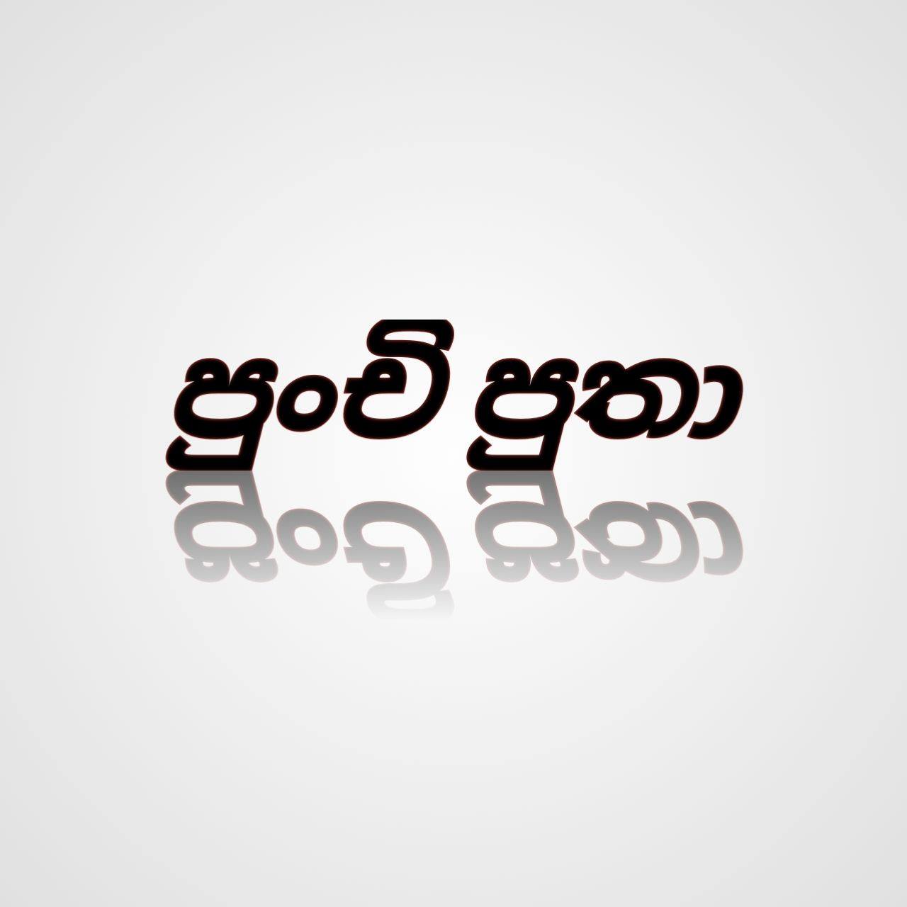 වෙසක් පොහොය නිමිත්තෙන් එලි දැක්වුණු සිනෙත් රසංග පුංචි පුතාගෙ අලුත්ම ...