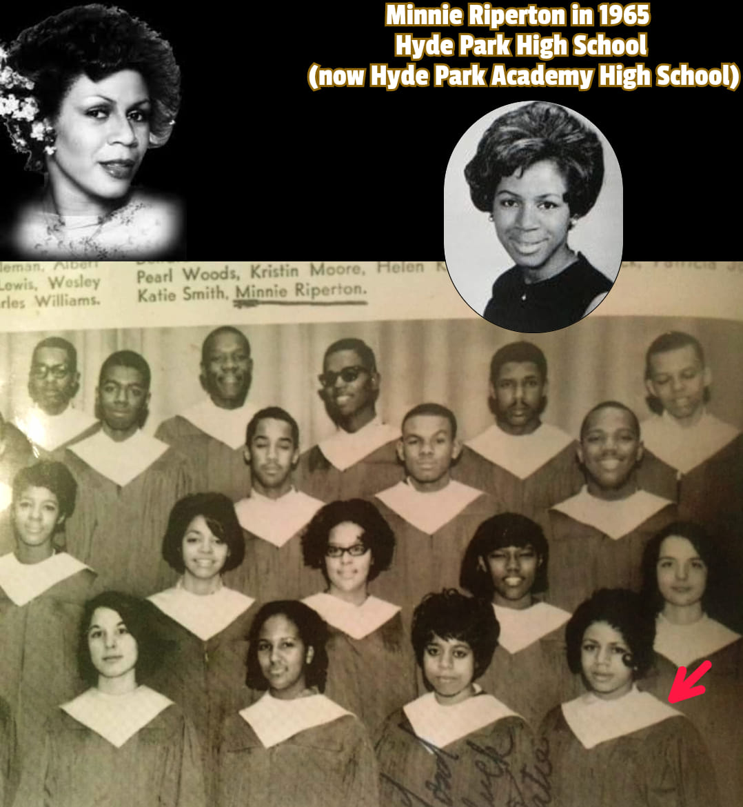 Black - 🤎A 1965 photo of 17-Year-old Minnie Riperton in the Hyde Park ...
