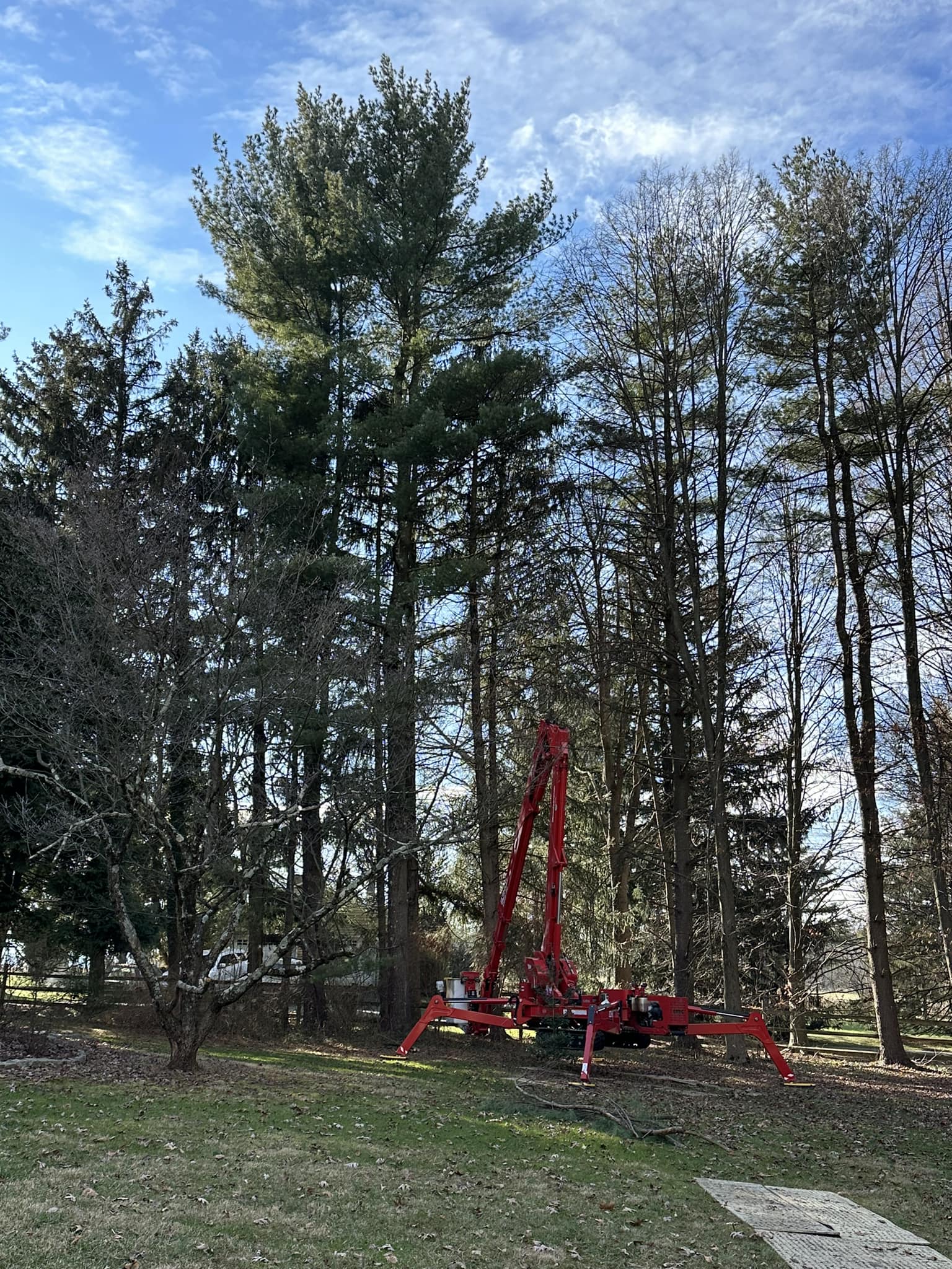 Matos Tree Service | Eagleville PA