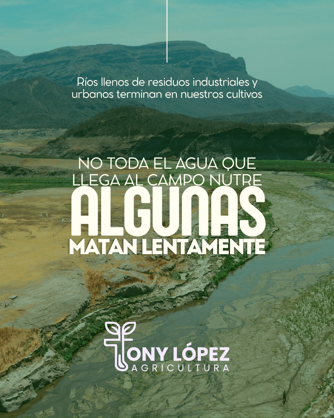 Tony - En varias regiones agrícolas, el agua de riego contiene metales ...