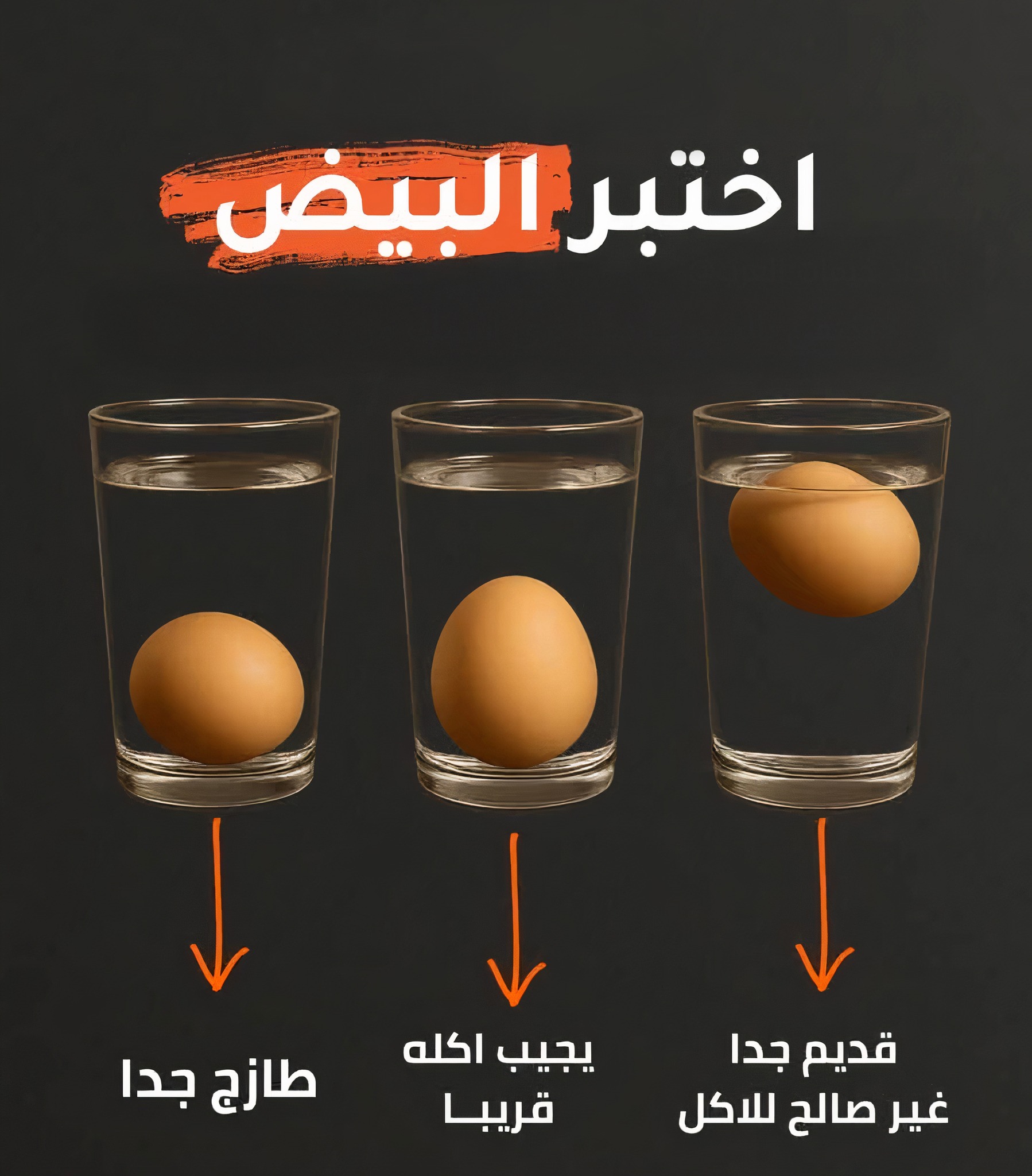 عالم - اختبار صلاحية البيض وهو نيء | Facebook