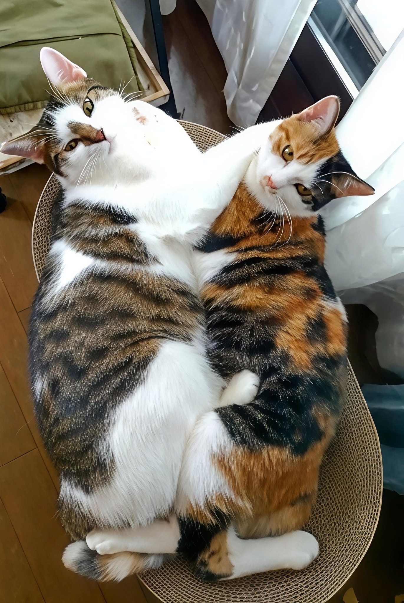本当に仲良し
