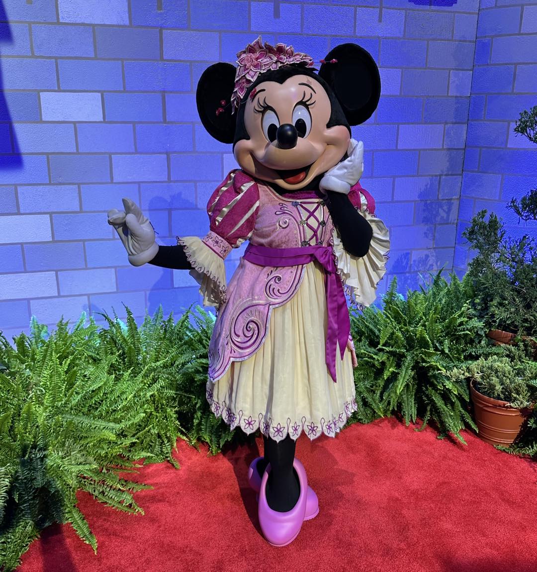 新品未使用☆Disney Mickey & Minnie ウエスタンブーツ Minnie Mouse, Daisy Duck and Cinderella's footmen were at the bib