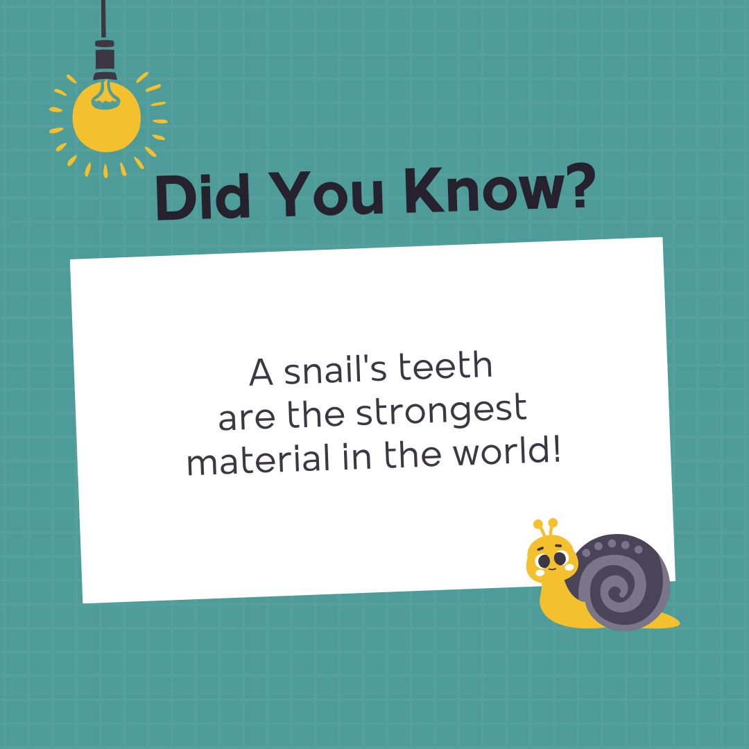 Soft Breeze Childrens Dentistry and Orthodontics - 🦷 It's time for some ...