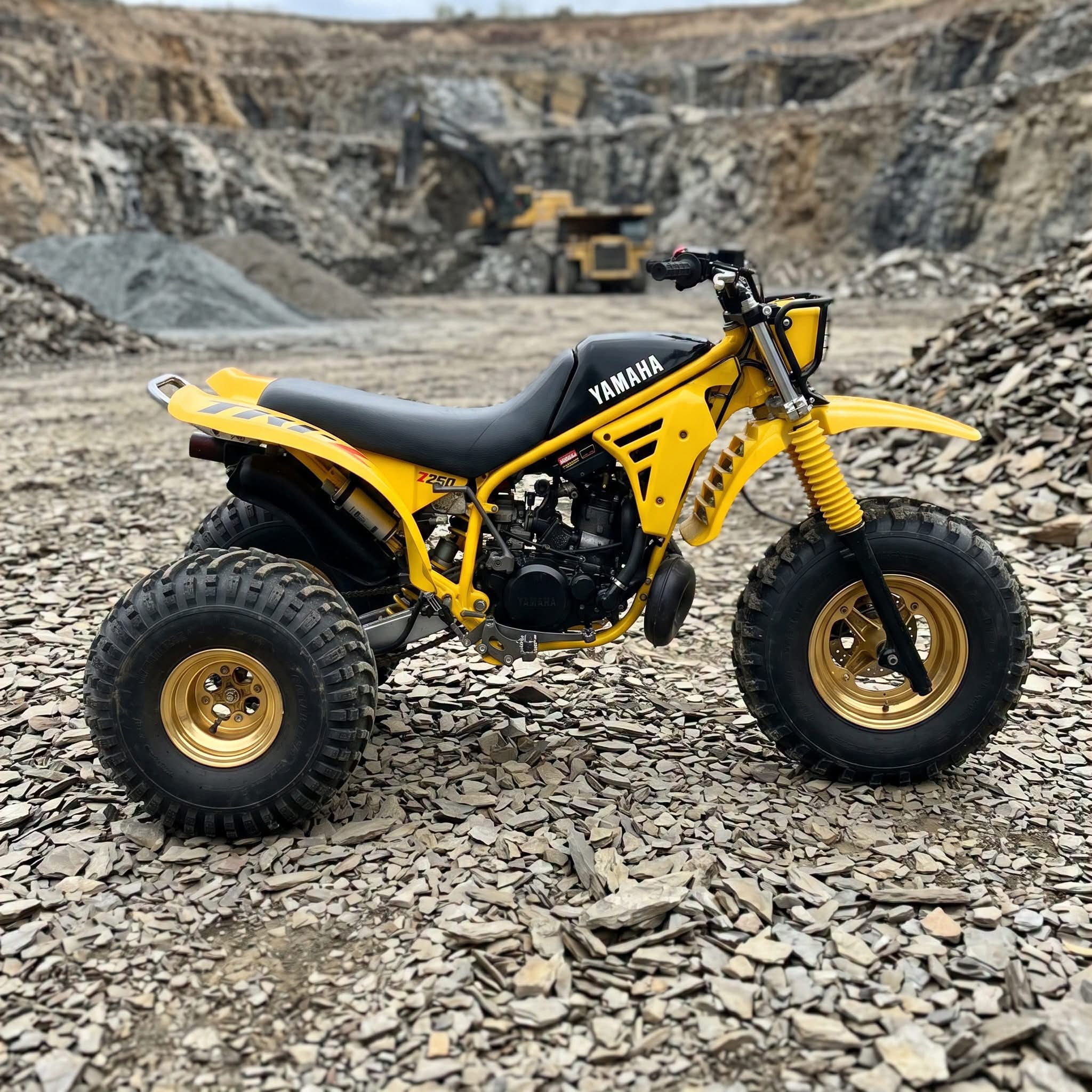 My 85 Yamaha tri-z astro conversion