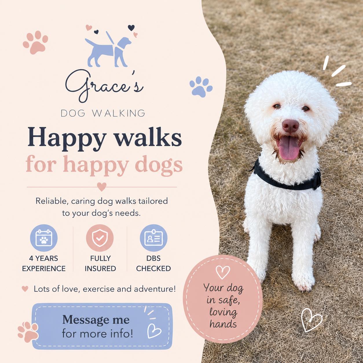 Graces Dog Walking | Camberley