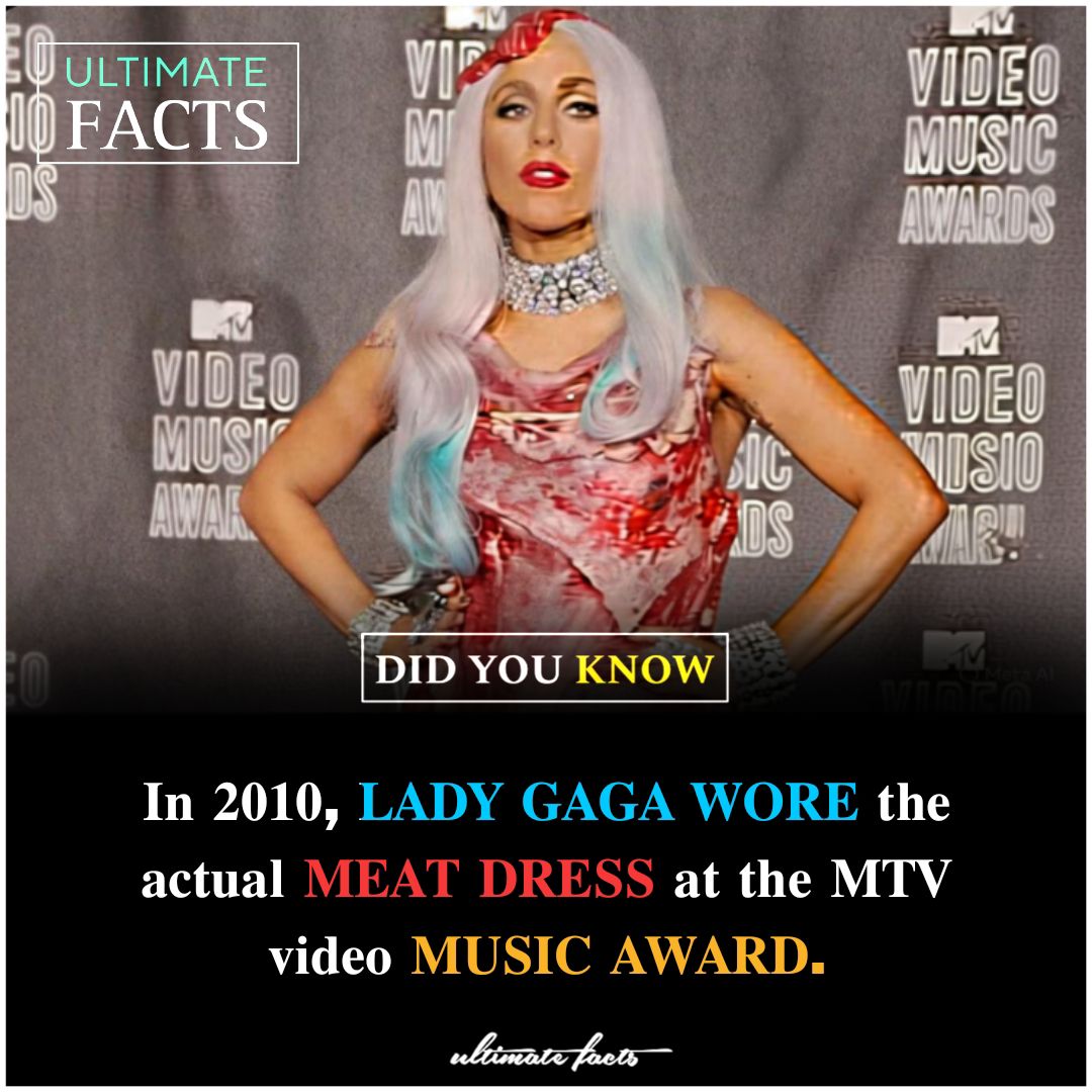 lady gaga pizza dress TRIED 2 WEAR MY MEAT SUIT 2 Style-Color-Dim:MD1E209933_AH373_M