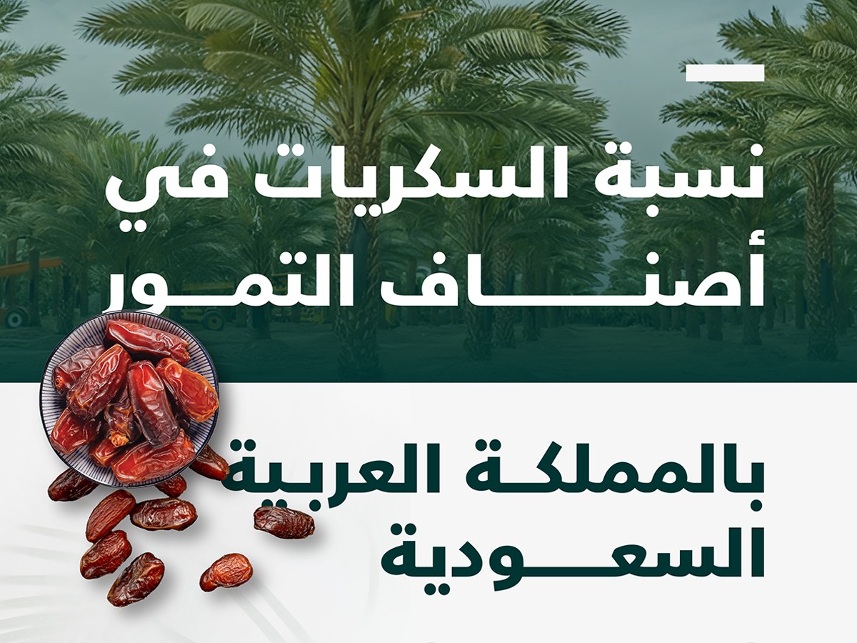 الشبكة العراقية لنخلة التمر | Amman
