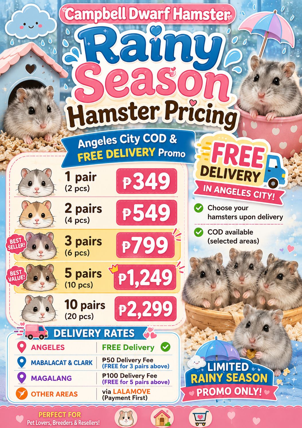 Pampanga Hamster Farm | Angeles City