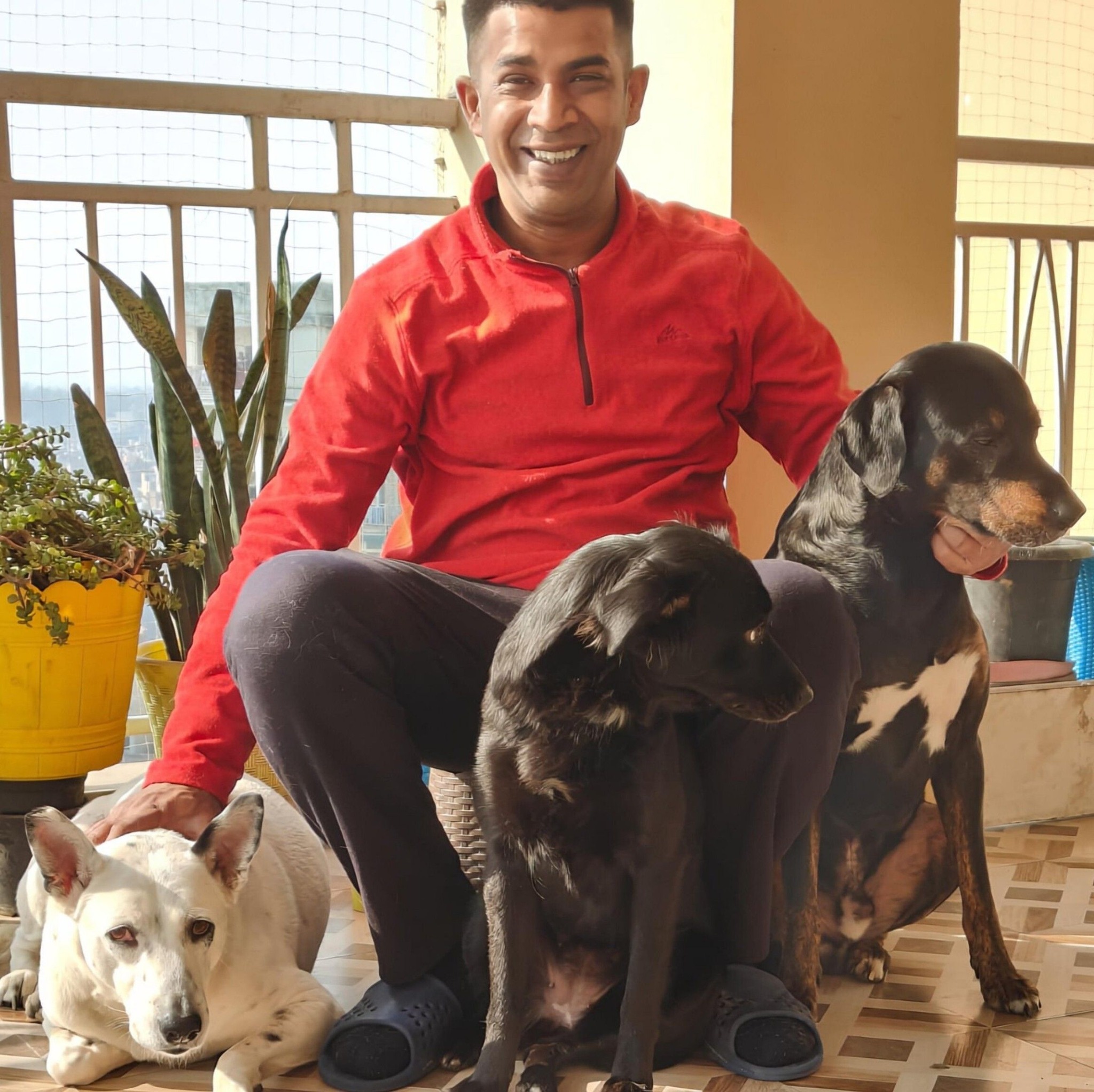 If you’re looking for a handsome boy, meet Bholu. 🐶 If you’re looking ...
