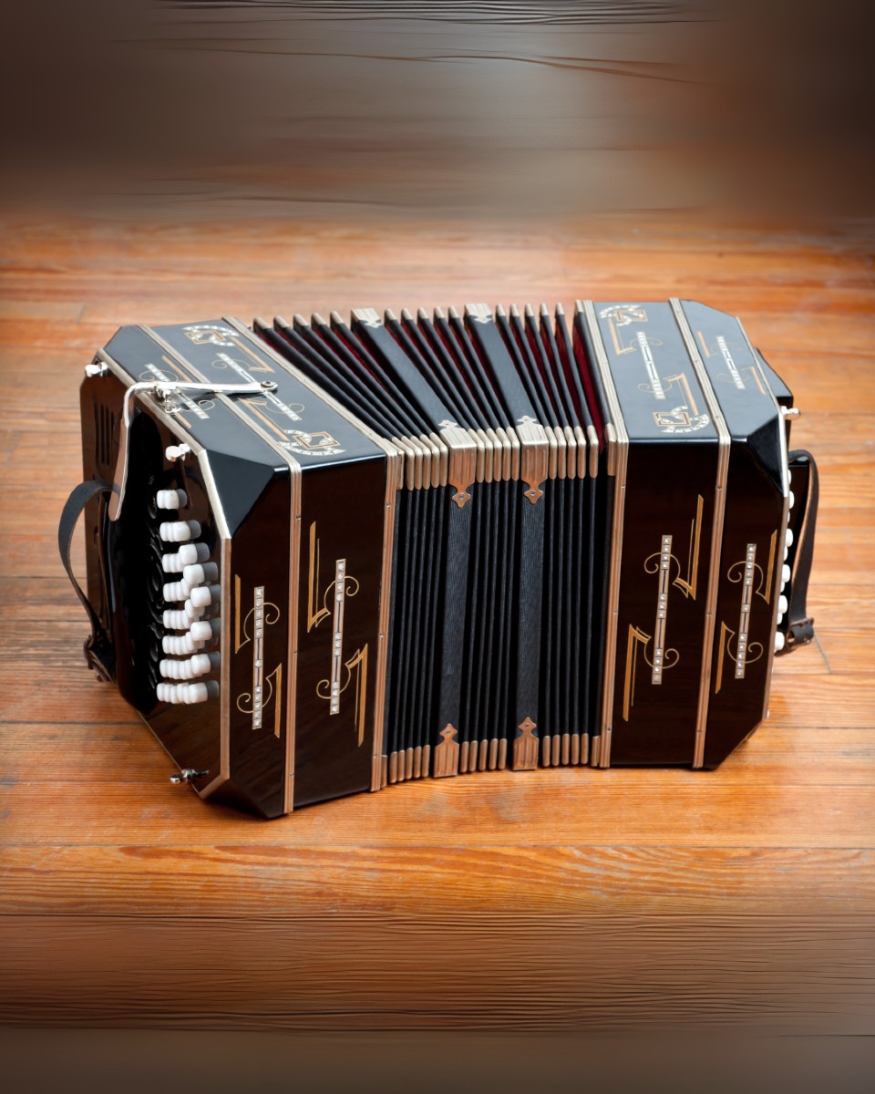 La - Focus instrument : Le Bandonéon 🎶 S’il fallait un seul son pour ...