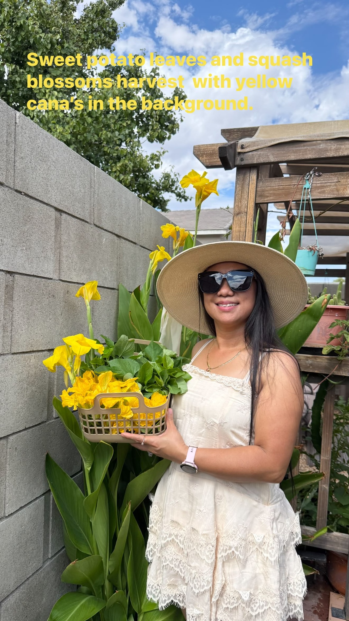 AV Gardening | Facebook