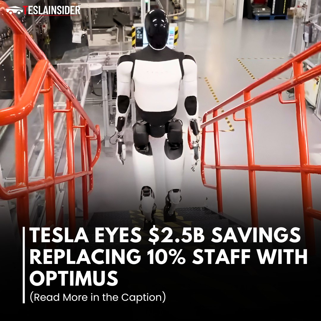 Tesla Optimus Robot Applications