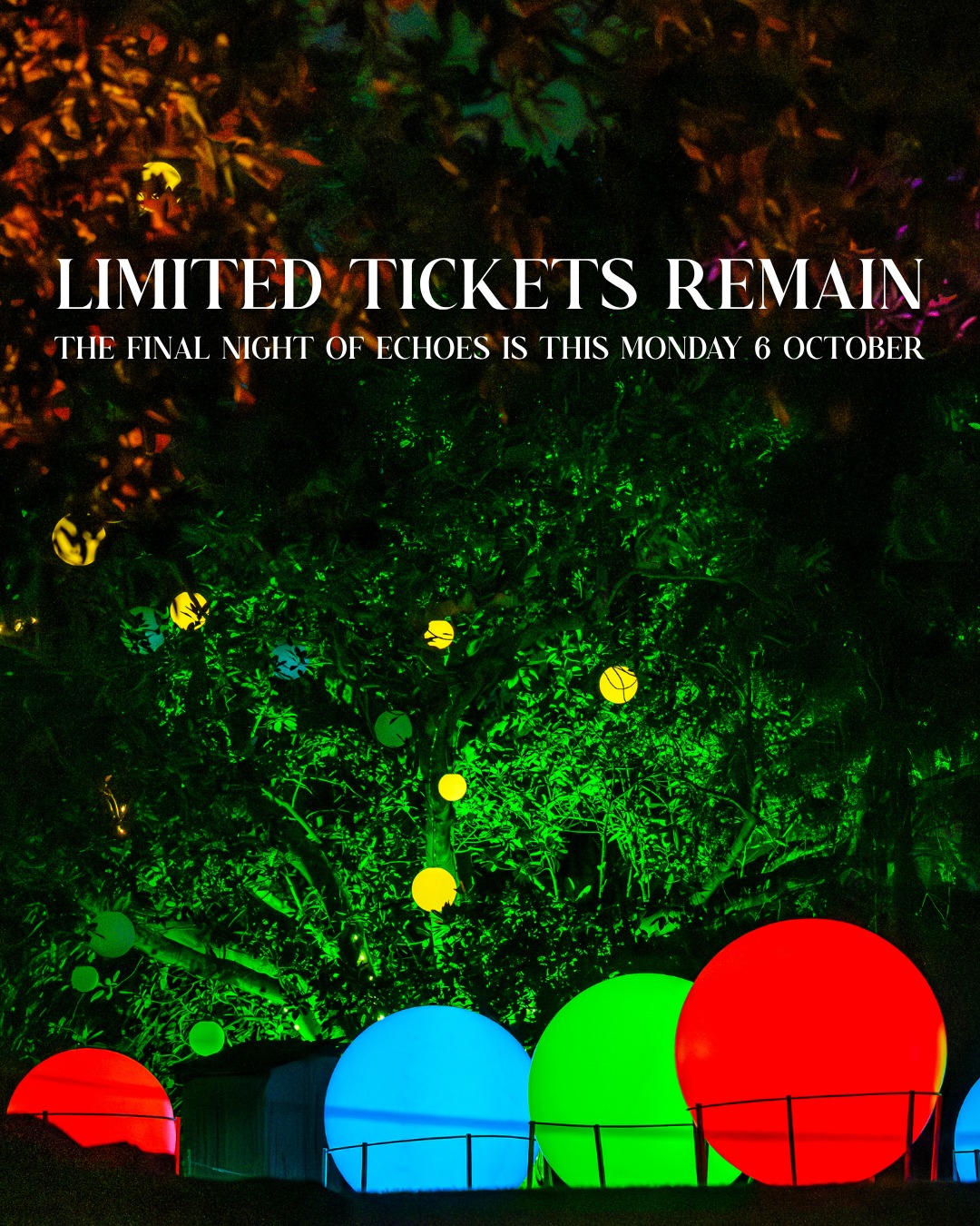 Echoes - 🎟️🌌 LIMITED NIGHTS & TICKETS REMAIN 🎟️🌌 | Facebook