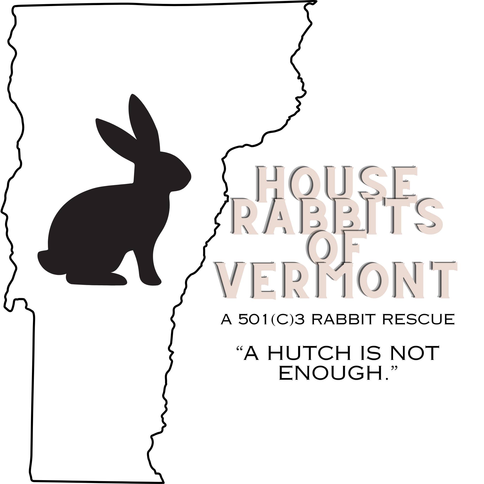 Vermont rabbit community | **ADOPT MOON!** | Facebook