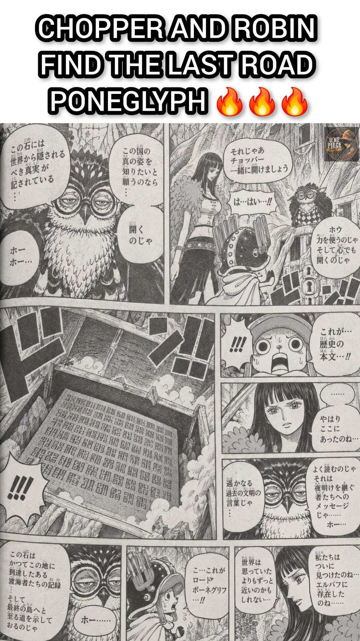 one piece Daily