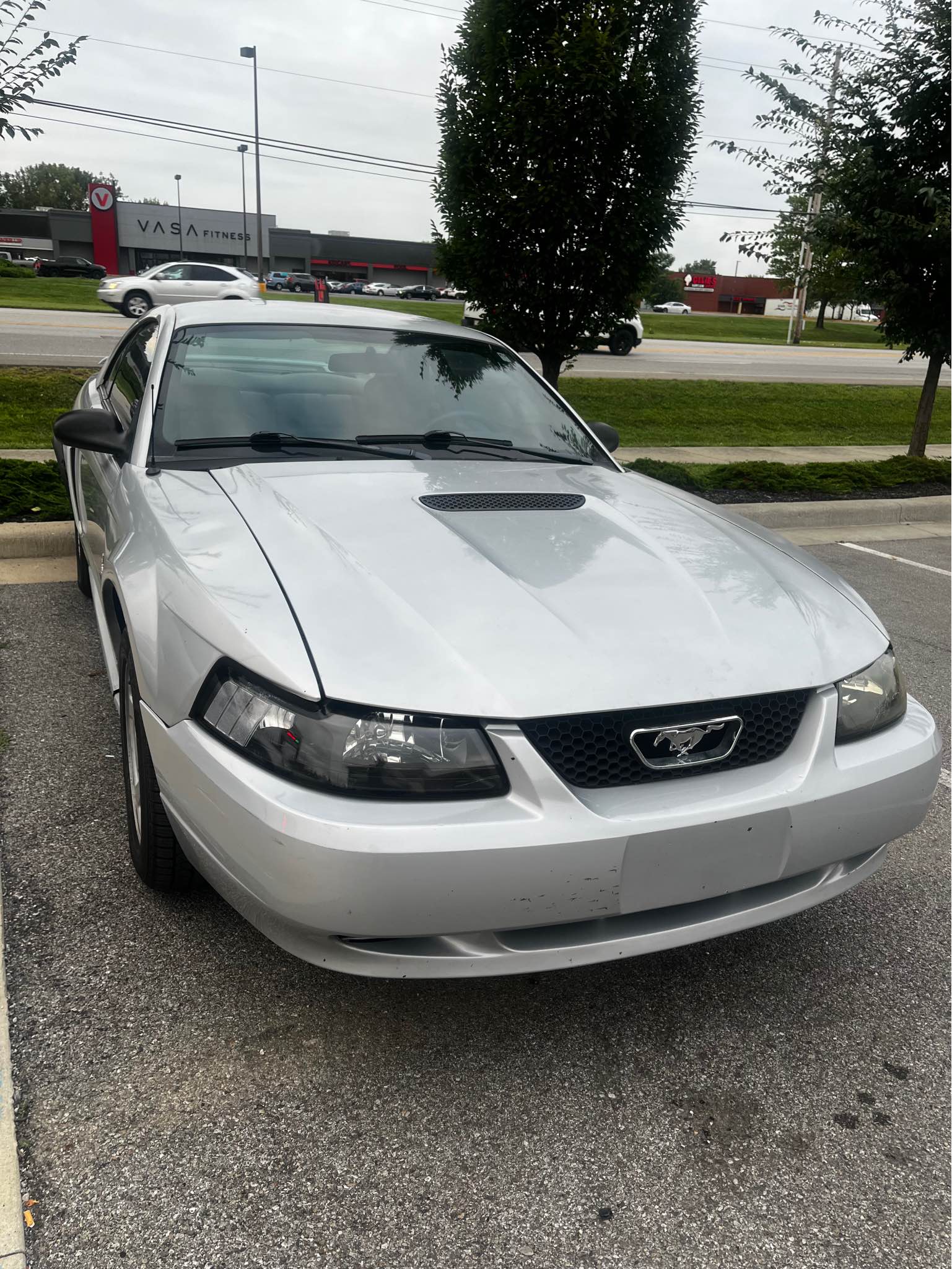 Best HD Pictures about  2002 Ford Mustang V6  with No AI Images