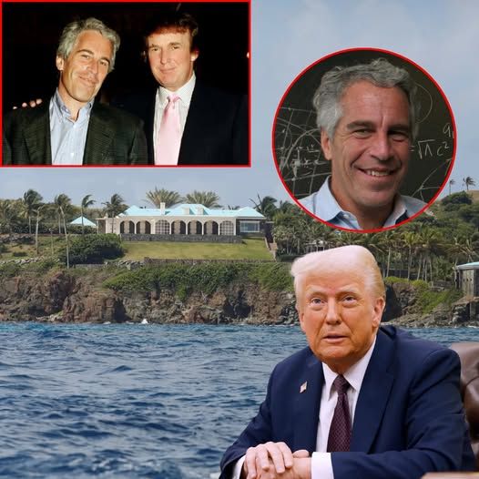 Ruby - Donald Trump denied ever visiting Jeffrey Epstein\'s private ...