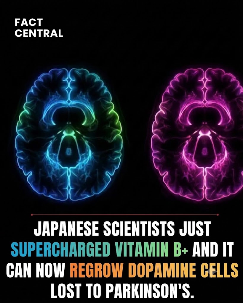 What vitamins are recommended for people with Parkinson's disease?
