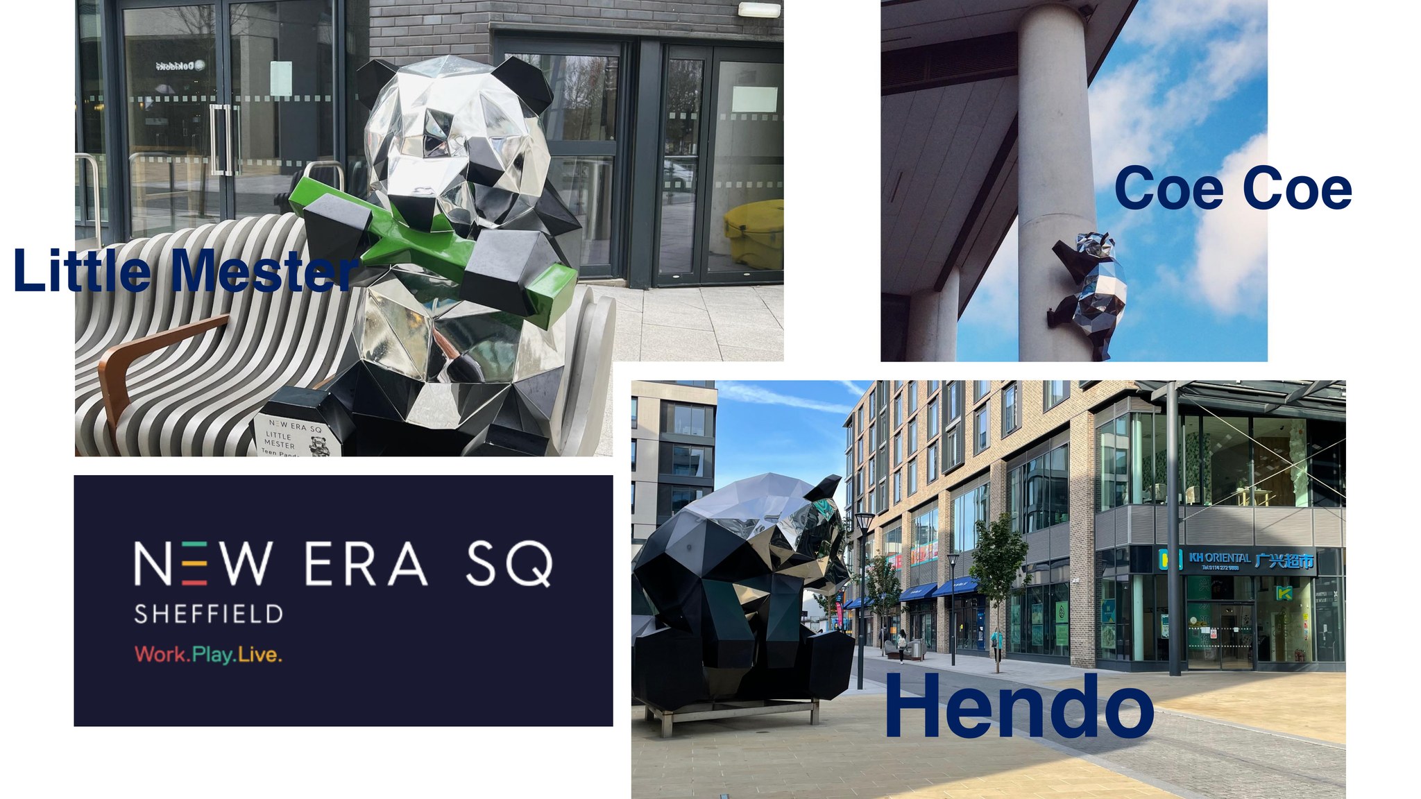New Era Development | Sheffield