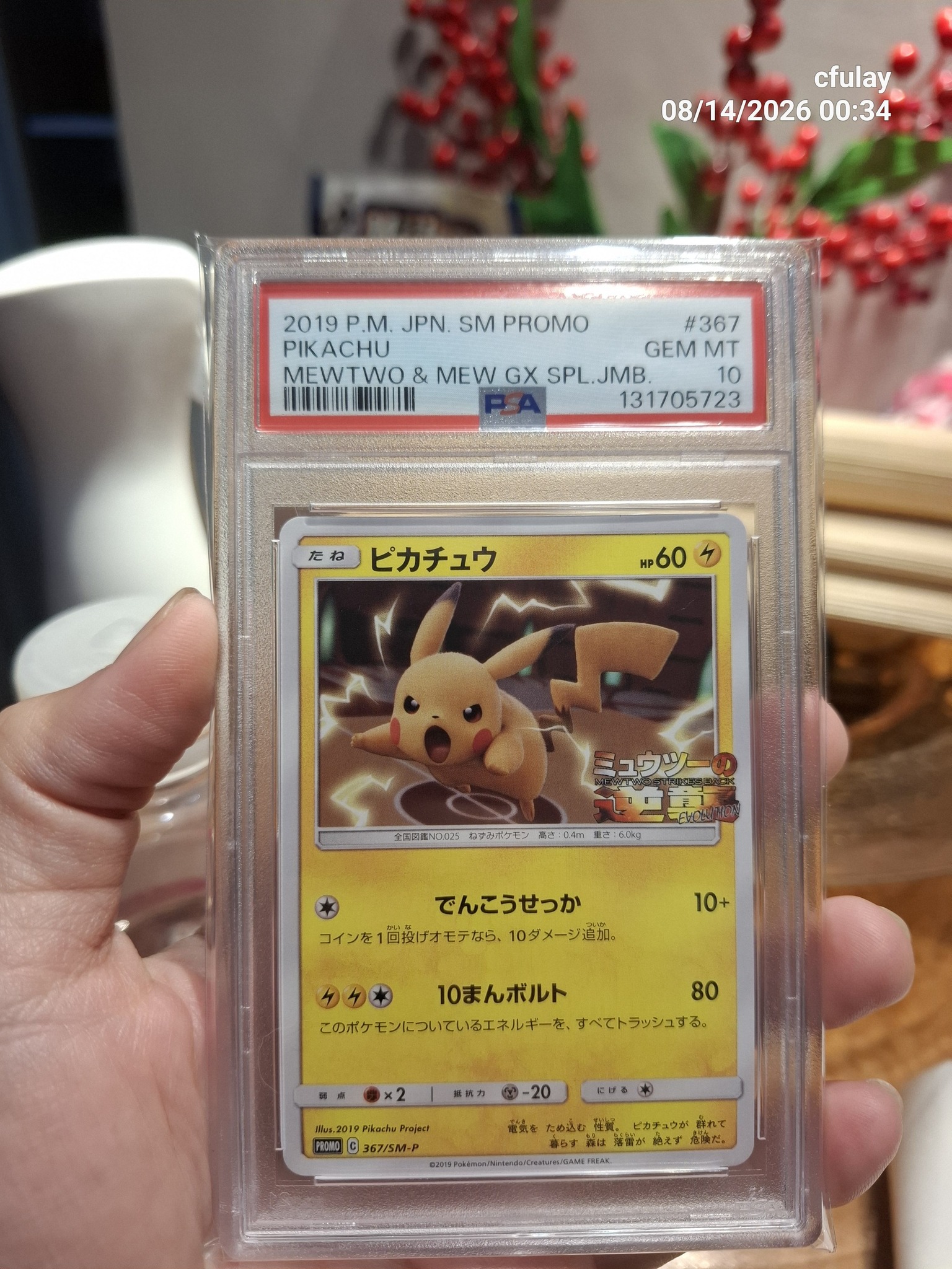 For SaLe Pokemon Graded Card Psa10 Pikachu (JP) s 2019 Pikachu