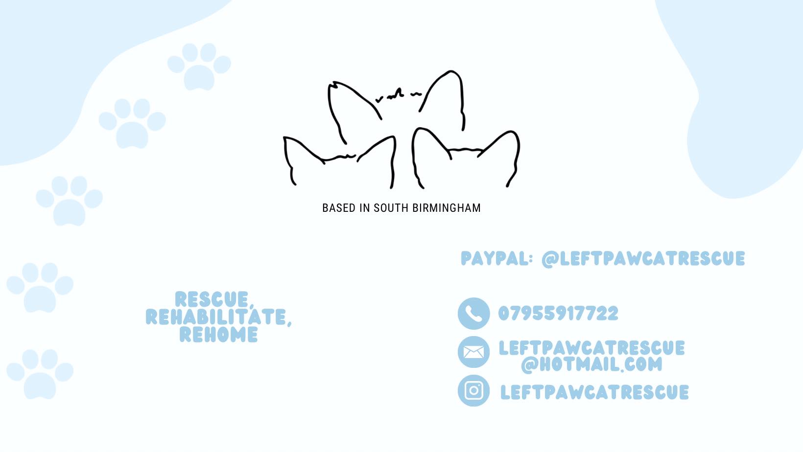 Left Paw Cat Rescue