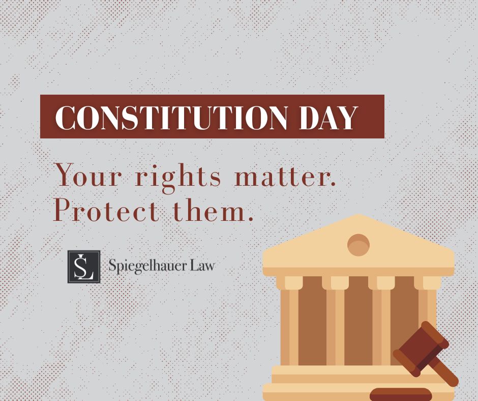 Happy Constitution Day! 📜Our... - Spiegelhauer Law | Facebook