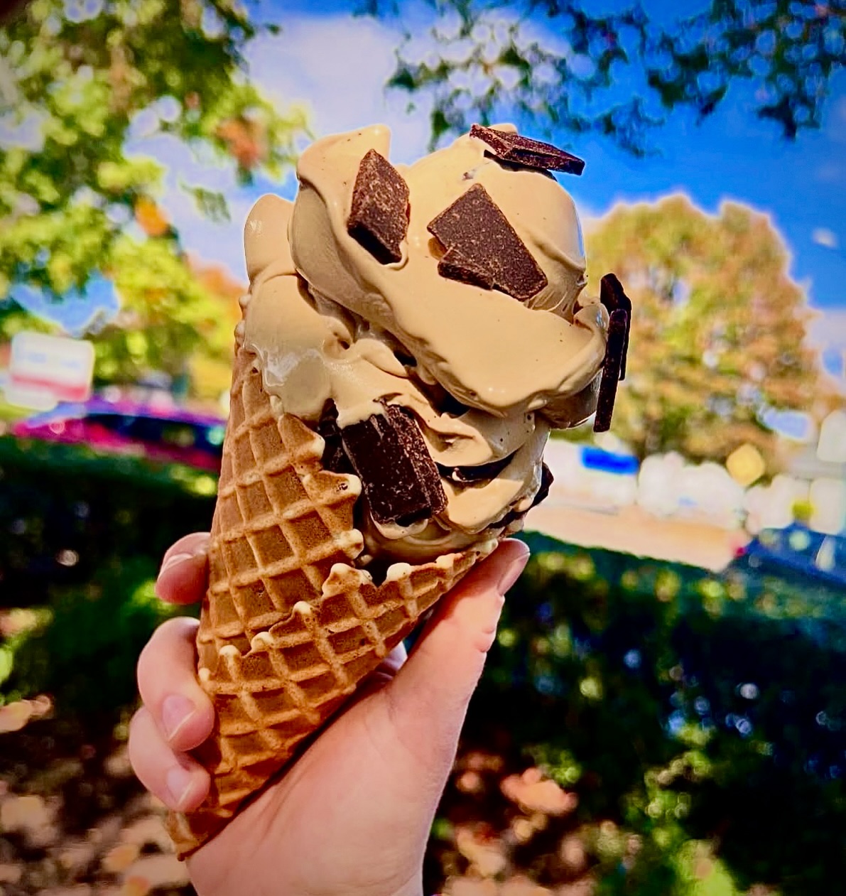 The Meadows - Happy Friday! Today’s flavors are Caramel Ripple (vanilla ...