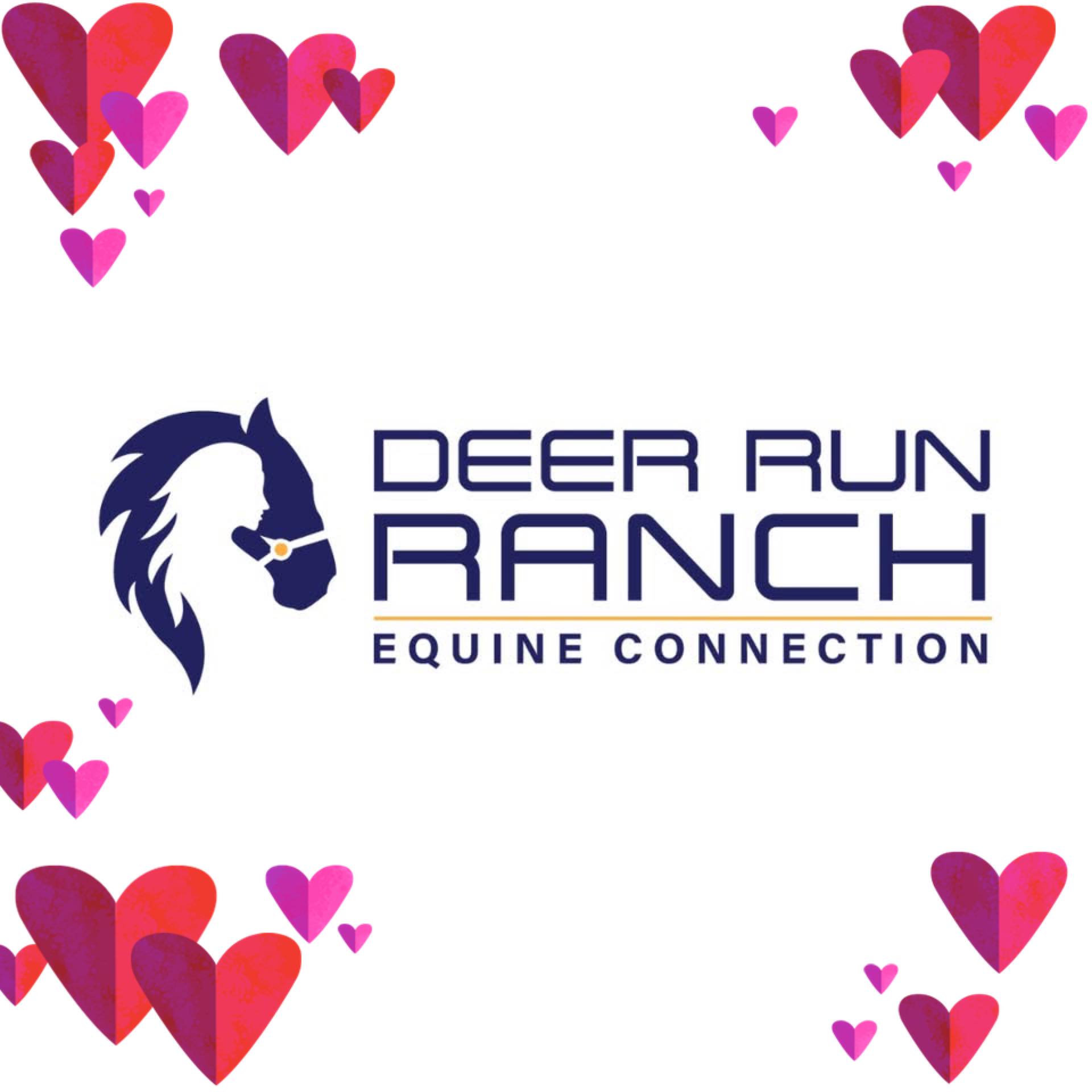 Deer Run Ranch Equine... - Deer Run Ranch Equine Connection
