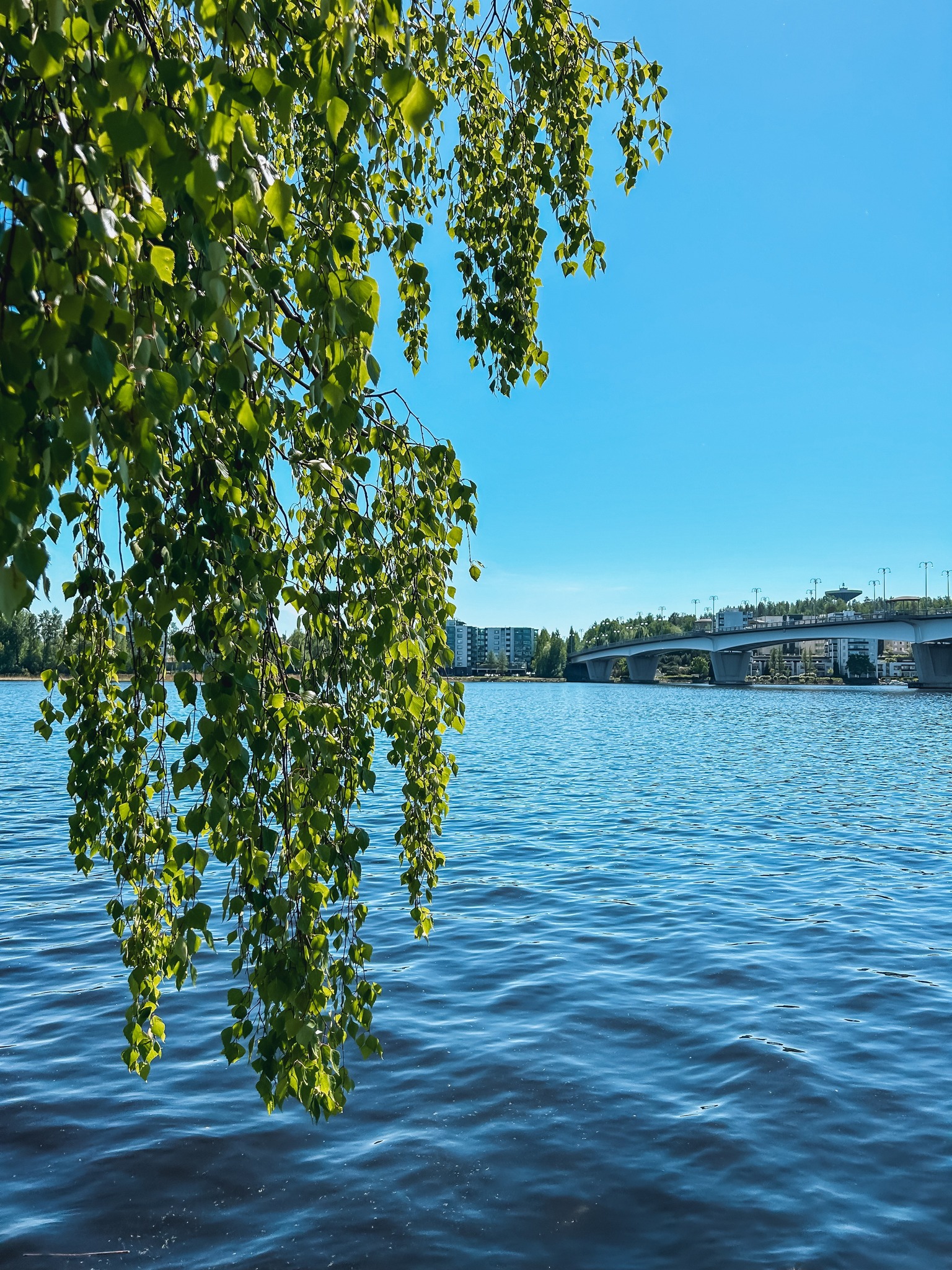 visio-eturauhassy-p-on-pitk-n-oireeton-mutta-ajoissa-havaittuna