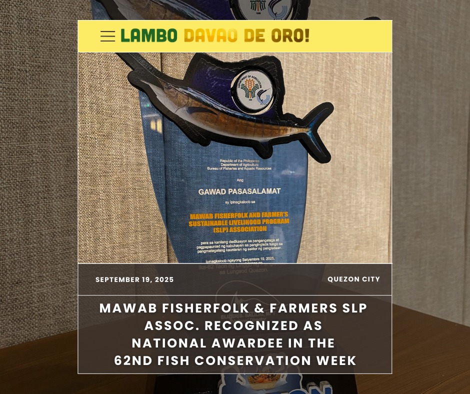 Mawab’s Pride Shines in National... - Lambo Davao De Oro | Facebook