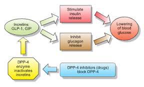 glp-1 and hrt Hormone therapy might augment in post menopausal women source: The role of menopause hormone therapy in modulating tirzepatide-associated weight loss in postmenopausal women with overweight or obesity: a retrospective cohort study On estrogen and starting a