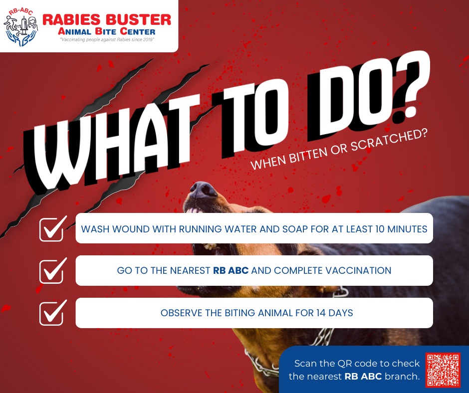 Cagayan - 💡Likayi ang risgo sa rabies by remembering these steps just ...